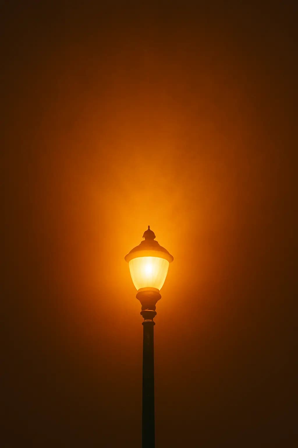 Abbildung 1 von 2 zu „Lichtverschmutzung: Wenn die Nacht zum Tag wird“
